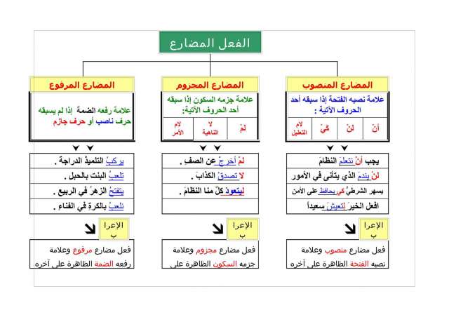 رابطة علماء أهل السنة