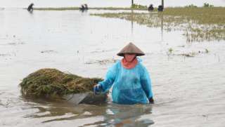 ارتفاع حصيلة ضحايا الفيضانات في فيتنام الى 54 قتيلا