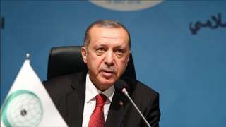 أردوغان: على المسلمين أخذ حقوقهم بأنفسهم