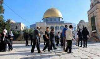 فلسطين ... 117 مستوطنا يقتحمون الأقصى والاحتلال يصعد انتهاكاته ضد المقدسيين