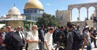 فلسطين ... قادة جماعات الهيكل الإرهابية يقتحمون المسجد الأقصى في حماية سلطات الاحتلال