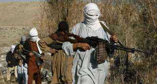 أفغانستان ... طالبان تسيطر على عاصمة ولاية جديدة وبريطانيا وأميركا تدعو رعاياهما للمغادرة