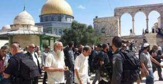 فلسطين .. المستوطنون يواصلون اقتحام “الأقصى” خلال “عيد حانوكا”