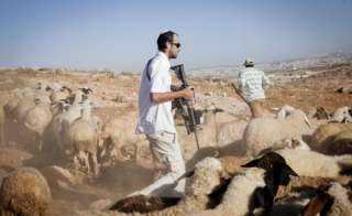 فلسطين .. مستوطنون يهاجمون المزارعين في ”أم صفا” برام الله