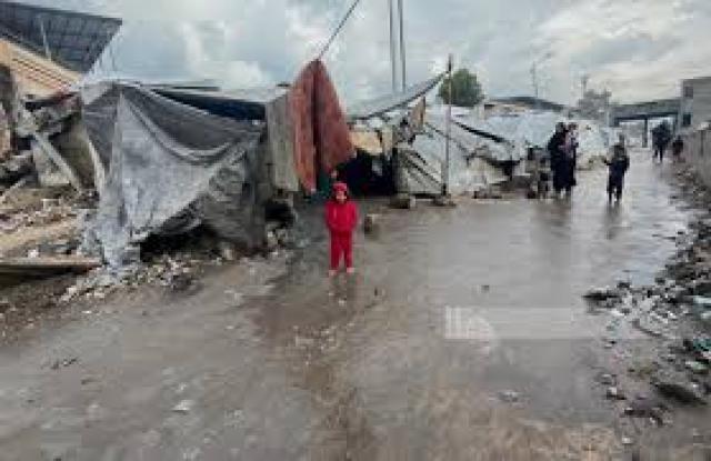 رابطة علماء أهل السنة